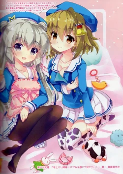 Page 11 of A-G Colors 2