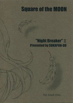 Page 26 of "Night Breaker" II