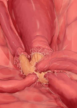 Page 66 of Tentacle Garden