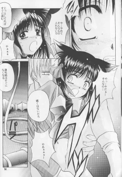 Page 13 of ruri iyarashii koneko noshitsuke hou
