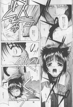 Page 23 of ruri iyarashii koneko noshitsuke hou