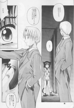 Page 29 of ruri iyarashii koneko noshitsuke hou