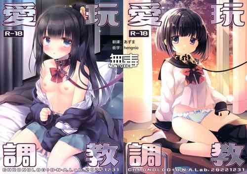 (C101) [D.N.A.Lab., CHRONOLOG (Miyasu Risa, Sakurazawa Izumi)] Aigan Choukyou [Chinese] [无毒汉化组]