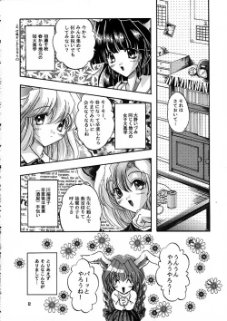 Page 11 of Ragdoll 2