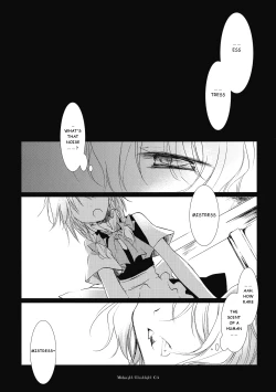 Page 5 of Midnight / Flashlight