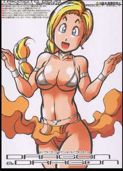 Download Dragon & Dragon