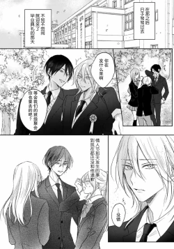 Page 217 of Kimi to janakya Koi mo Dekinai | 倘若不是你，恋爱就无从谈起 1-7 end