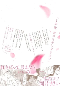 Page 257 of Kimi to janakya Koi mo Dekinai | 倘若不是你，恋爱就无从谈起 1-7 end