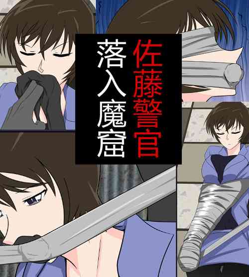 [FYXFD] Miwako Sato kidnapping case