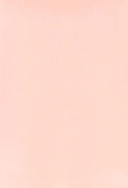 Page 4 of Sakurairo no Kiseki