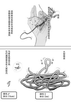 Page 1 of Oohariganemushi No Seitai