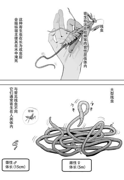 Download Oohariganemushi No Seitai