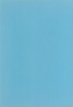 Page 41 of Get Sweet ”A” Low Phone