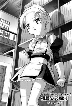 Page 40 of Hinadoritachi no Yakata ch 1-3