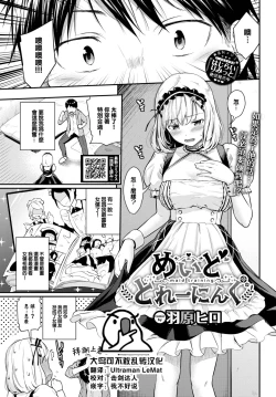 Page 1 of Maid Training