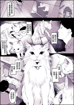 Page 2 of Neko]