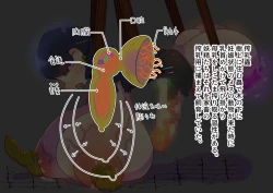 Page 34 of futanari majo no o yomesan sagashi 2 onaho yōsei no gyakushū