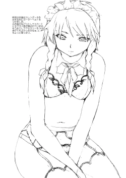 Page 24 of Touhou Ukiyo Emaki Hong Meirin