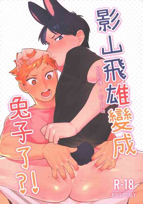 Download 影山飛雄變成兔子了!