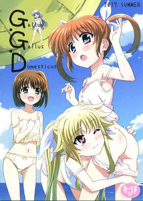 (C92) [Tamagoya (Miyajima Hitoshi)] Gallus.Gallus.Domesticus 2017 SUMMER (Lyrical Nanoha)