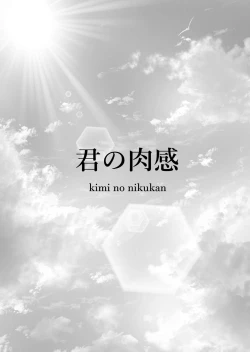 Page 4 of Kimi no nikukan