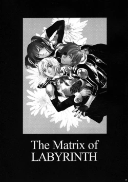 Page 2 of Meikyuu no Matrix