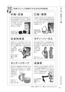 Page 111 of いますぐデキる 図説SMプレイマニュアル