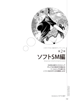 Page 31 of いますぐデキる 図説SMプレイマニュアル