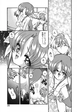 Page 27 of Seikaisou Kitan