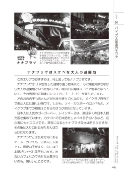 Page 83 of いかなくても解る図説風俗マニュアル・海外編 はじめての男子旅行