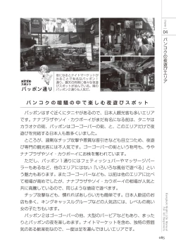 Page 85 of いかなくても解る図説風俗マニュアル・海外編 はじめての男子旅行