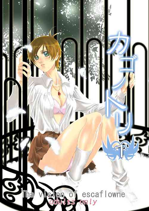 Download Bird in a Box 1