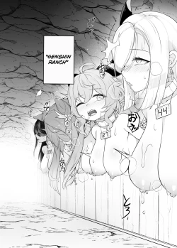 Page 3 of Genshin Bokujou | Genshin Ranch