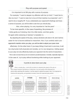 Page 17 of SM play manual