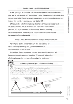 Page 21 of SM play manual