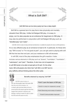 Page 30 of SM play manual