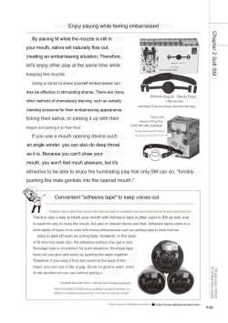 Page 47 of SM play manual