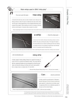 Page 93 of SM play manual