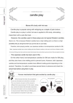 Page 96 of SM play manual