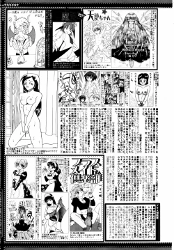 Page 387 of COMIC MEGAPLUS 2007-07 Vol.45