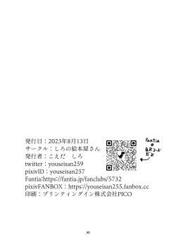 Page 30 of Mahou Syouzyo ga Syokusyu ni Kusugura Reru hon