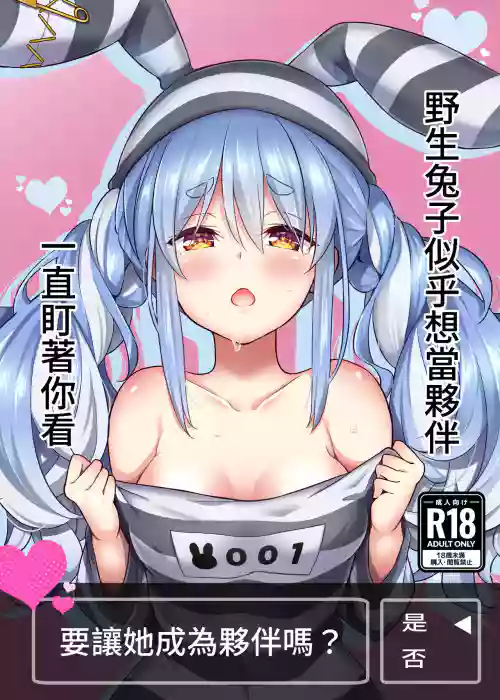 Download Yasei no Usagi ga Nakama ni Naritasou ni Kochira wo Miteiru | 野生兔子似乎想當夥伴,一直町著你看