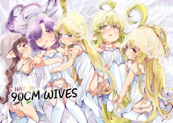 Page 1 of 4.5-toshin no Hanayome | 90 cm Wives