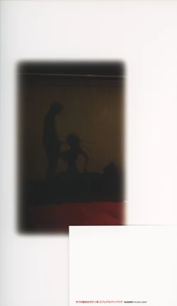 Page 3 of My Sweetheart is Physical Worker VISUAL FAN BOOK