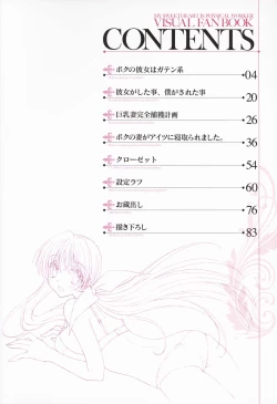 Page 6 of My Sweetheart is Physical Worker VISUAL FAN BOOK