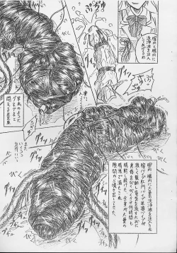 Page 11 of Vivian Bessatsu.5 Futanari Aria-chan