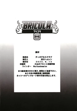 Page 26 of BRICOLA 8