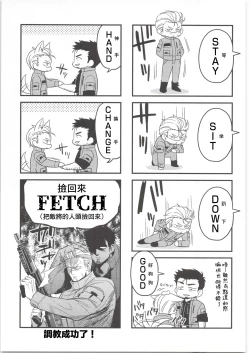 Page 50 of Leather Dog Collar