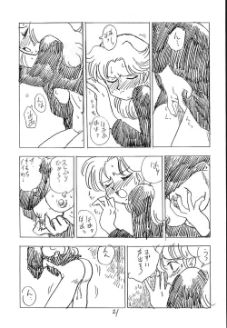 Page 20 of CUSTOMCHIP