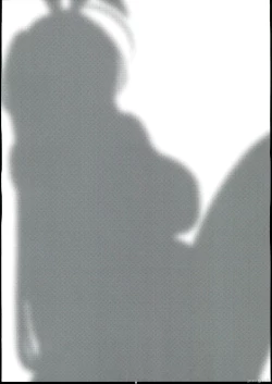 Page 3 of Taihou wa Shikikan-sama  o Iyashitai